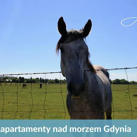 Ahoj! - Plaza, Basen, Parking, Ogrod, Cisza, Bezplatne Wifi, Niesamowity! Apartment Gdynia