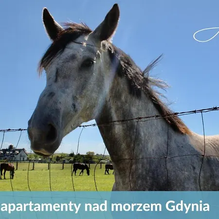 Lägenhet Ahoj! - Plaza, Basen, Parking, Ogrod, Cisza, Bezplatne Wifi, Niesamowity!