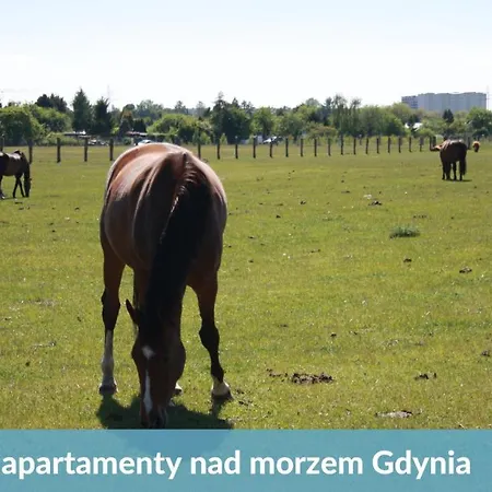 Ahoj! - Plaza, Basen, Parking, Ogrod, Cisza, Bezplatne Wifi, Niesamowity! *